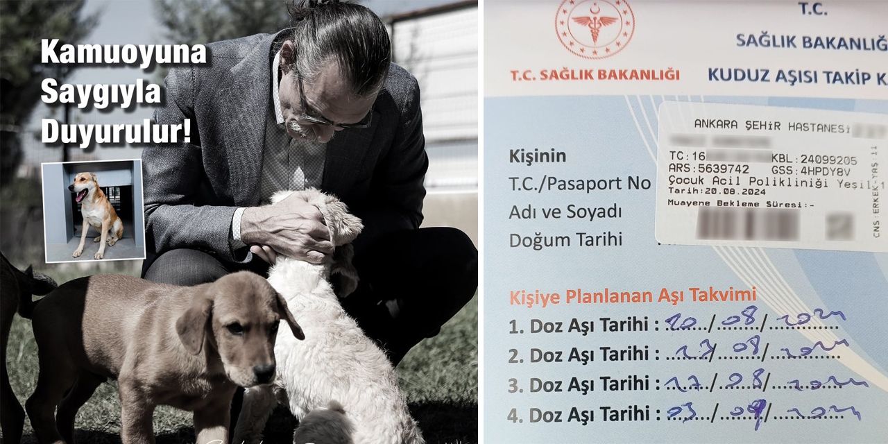 Ankara Etimesgut'ta çocuğu ısıran köpek sokağa salınacak