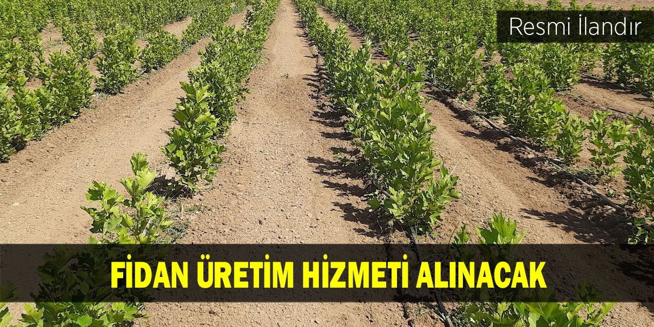 Fidan üretim hizmeti alınacak