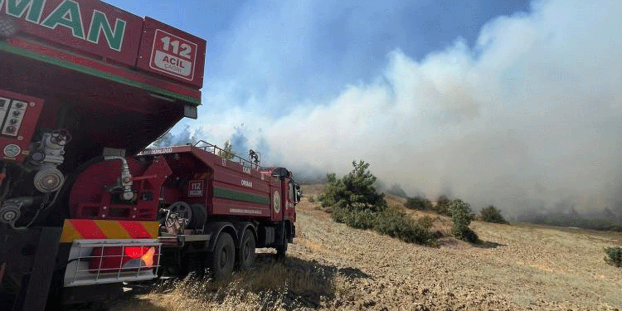 Kahramanmaraş'ta ormanlık alanda çıkan yangına müdahale ediliyor