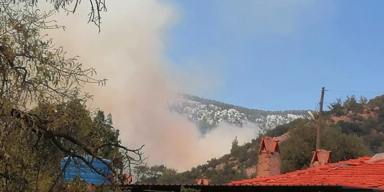 Muğla'da orman yangını!