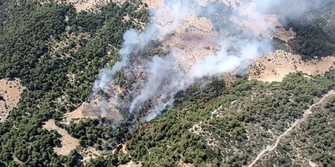 Orman yangını: Kaş'tan alevler yükseliyor