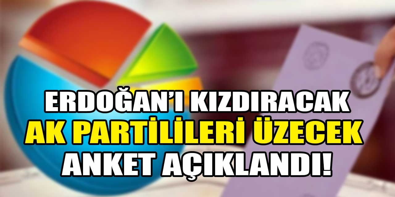 Erdoğan'ı kızdıracak, AK Partilileri üzecek anket açıklandı