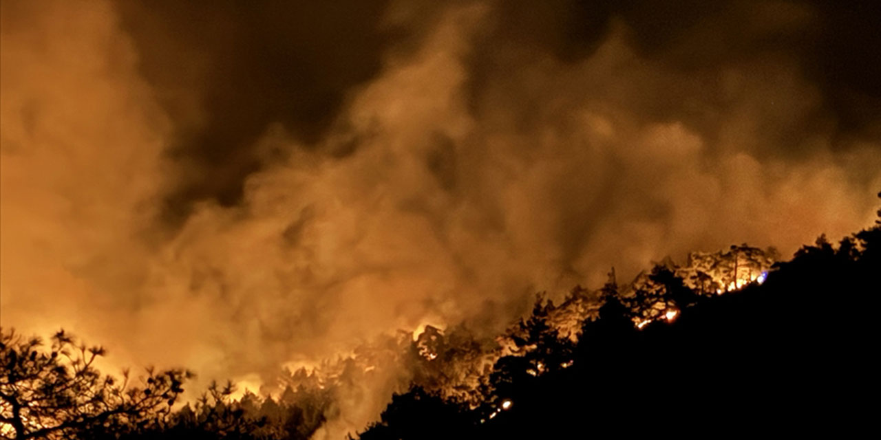 Hatay'da çıkan orman yangınına müdahale gece boyu devam etti!