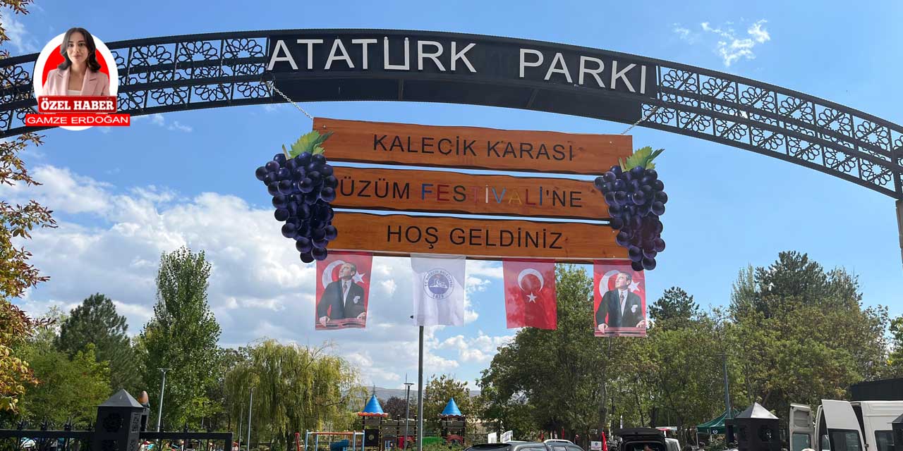 Kalecik Karası Üzüm Festivali başladı: "Kalecik Karası'nın sırrı ikliminde"