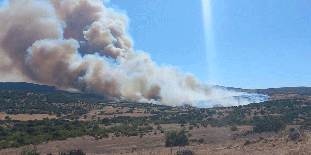 Bursa'da orman yangını!