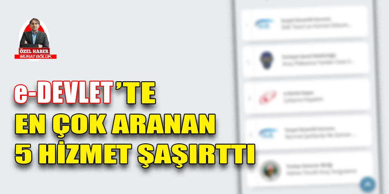 e-Devlet’te en çok aranan 5 hizmet şaşırttı