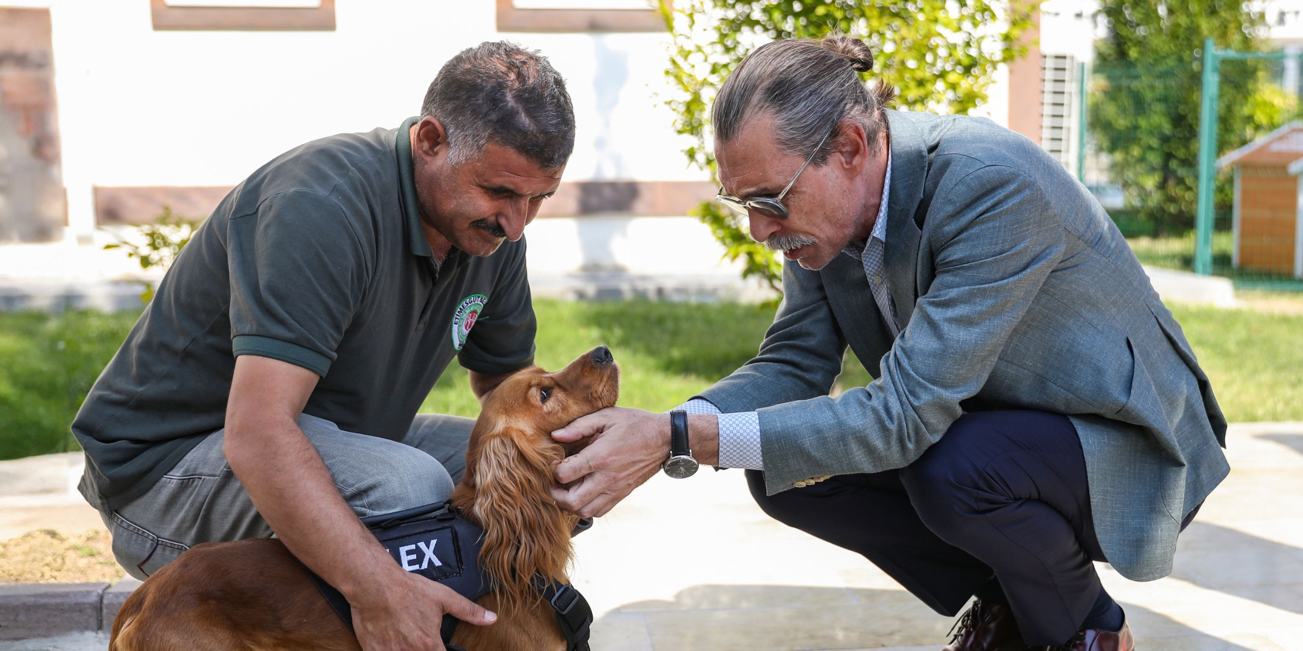 Etimesgut Belediyesi sahipsiz köpekleri sahiplendiriyor