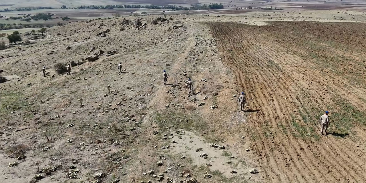 Jandarma kayıp kadını bulmak için seferber oldu