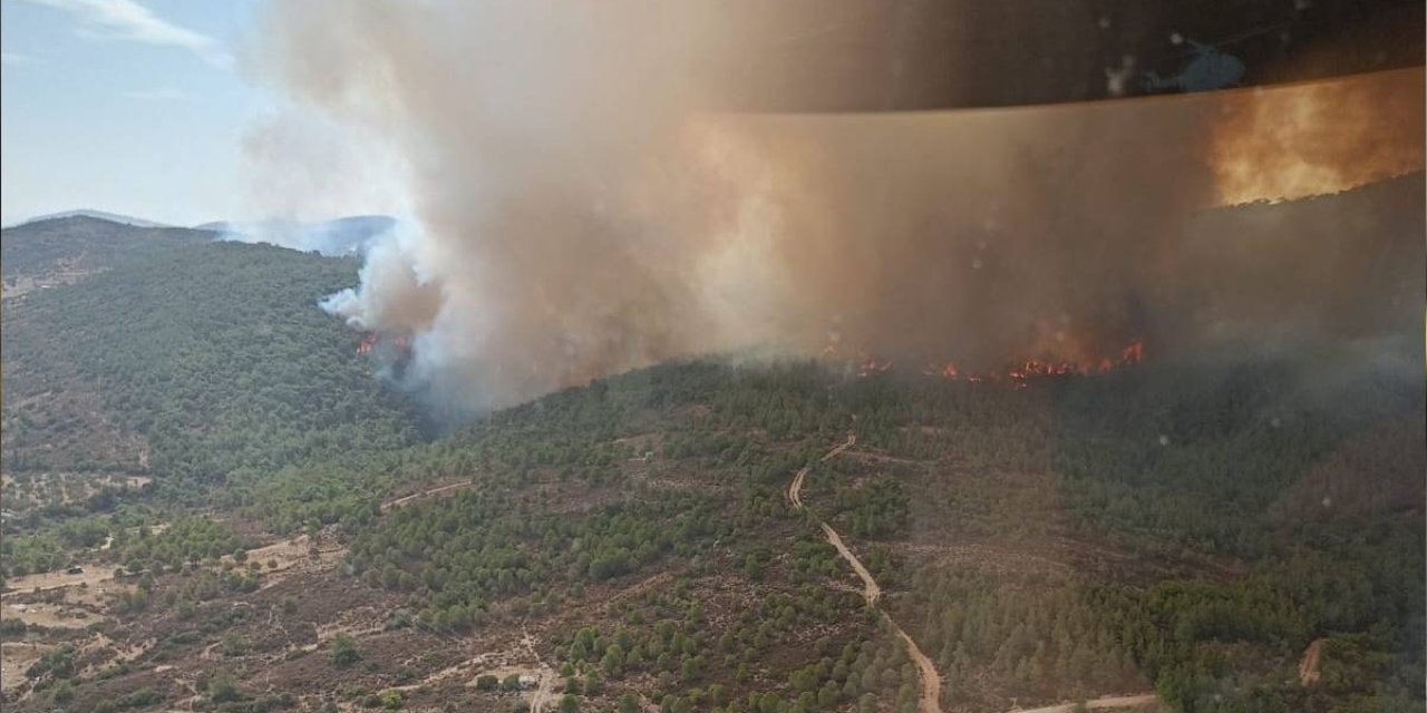 İzmir'de orman yangını