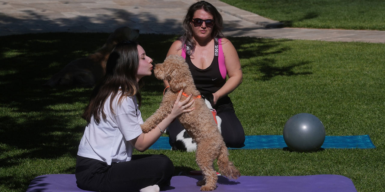 Ankara'da köpeklerle pilates yaptılar