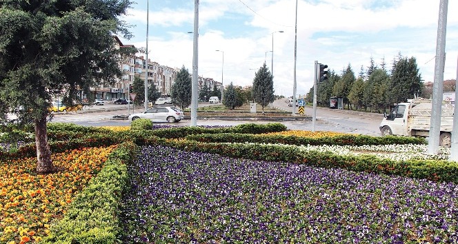 Büyükşehir Belediyesi, Ankara’yı 10 milyon çiçekle donatıyor