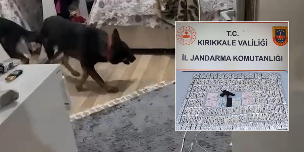 Narkotik Köpeği "Tepe"  3 bin 622 hapı buldu