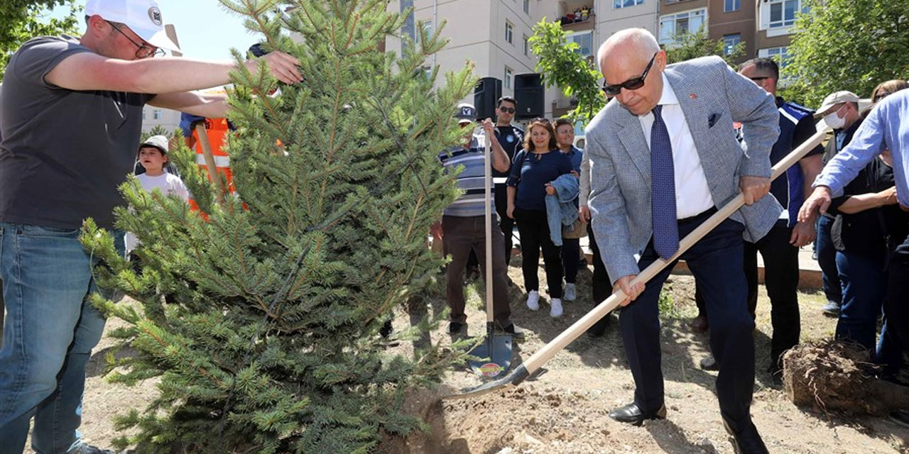 Yenimahalle yeşeriyor: Ağaç dikme töreni yapılacak