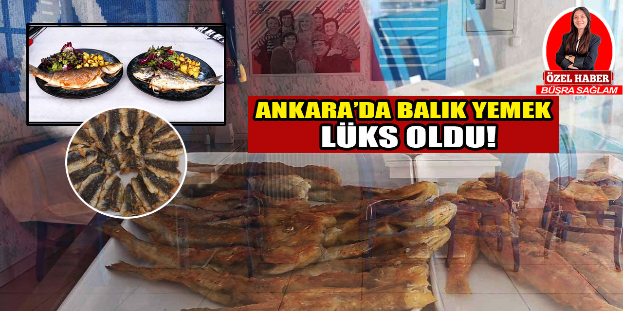 Ankara'da balık yemek lüks oldu