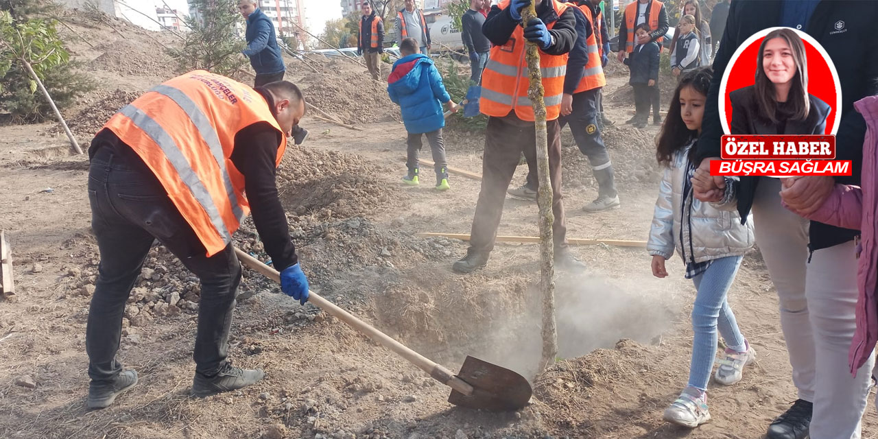 Milli Ağaçlandırma Günü etkinliği: Yenimahalle’de yüzlerce fidan toprakla buluştu