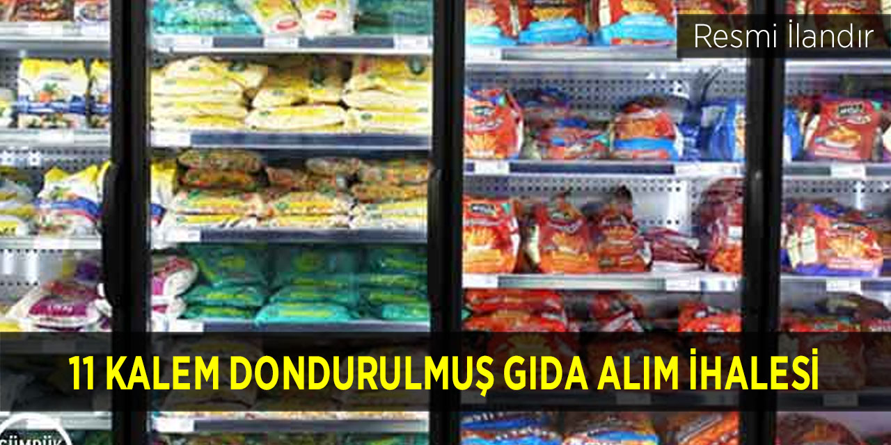 11 KALEM DONDURULMUŞ GIDA ALIM İHALESİ