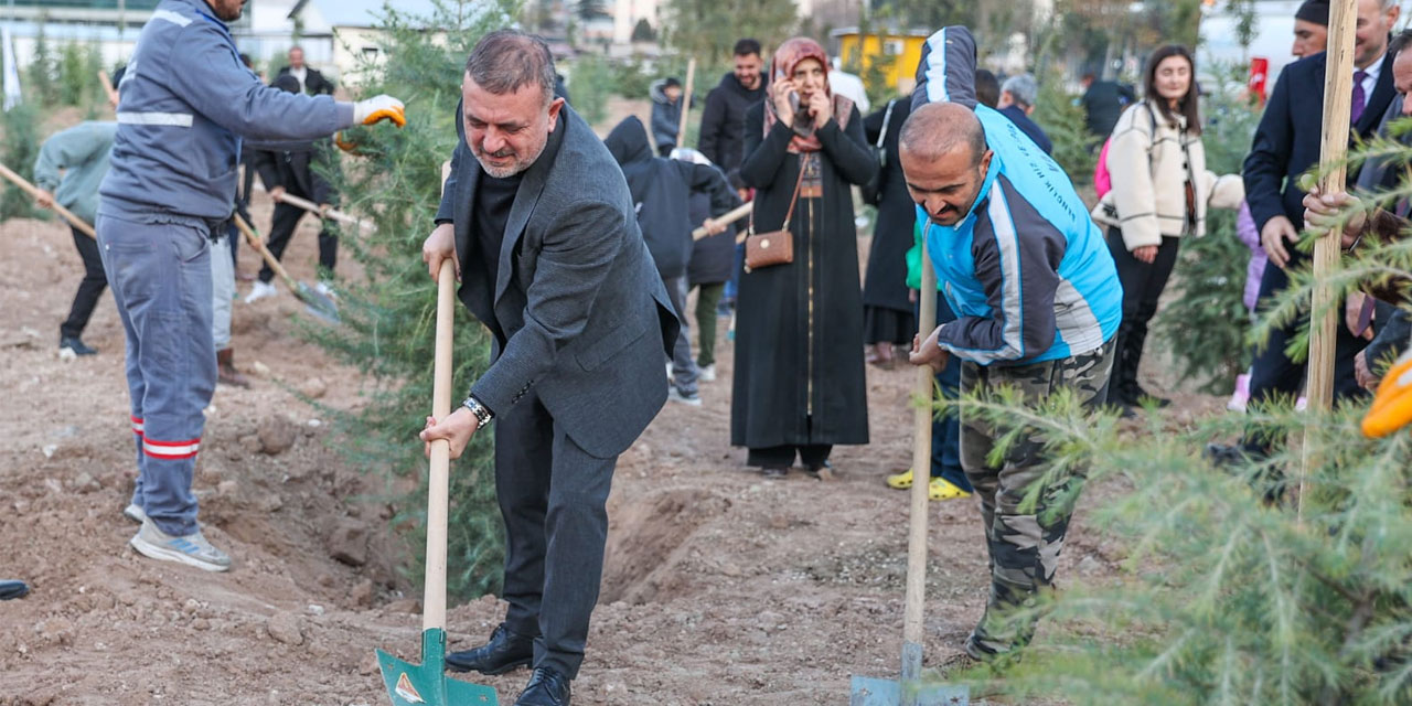 Sincan yeşillenecek: 536 ağaç toprakla buluştu