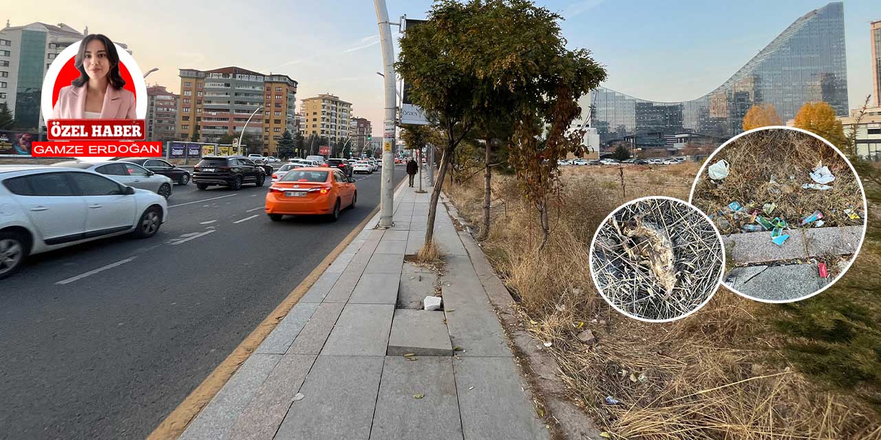 Ankara'da plazaların ortasındaki cadde çöplüğe döndü!