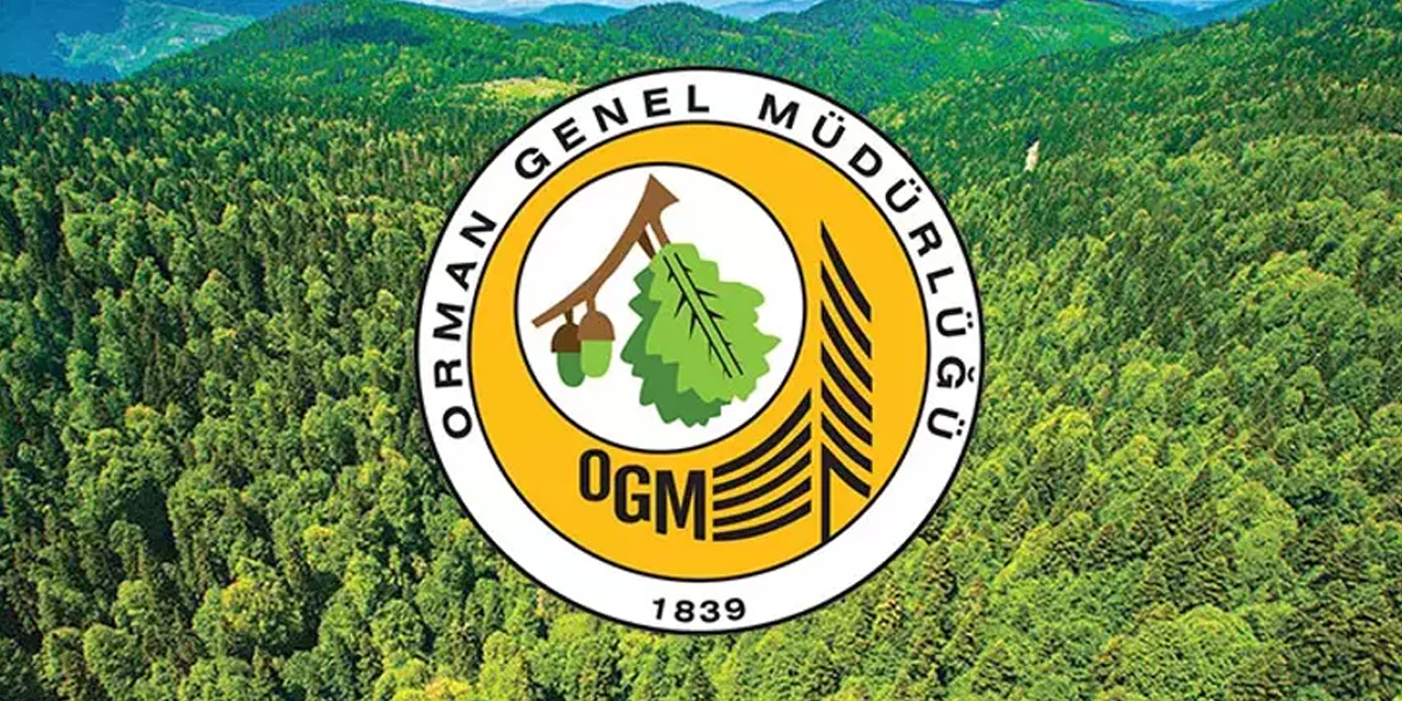 OGM elaman alımı yapacak