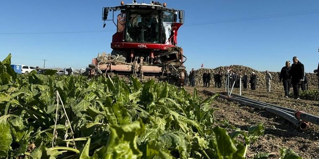 Tarım-ÜFE aylık yüzde 5,03, yıllık  yüzde 35,46 arttı!