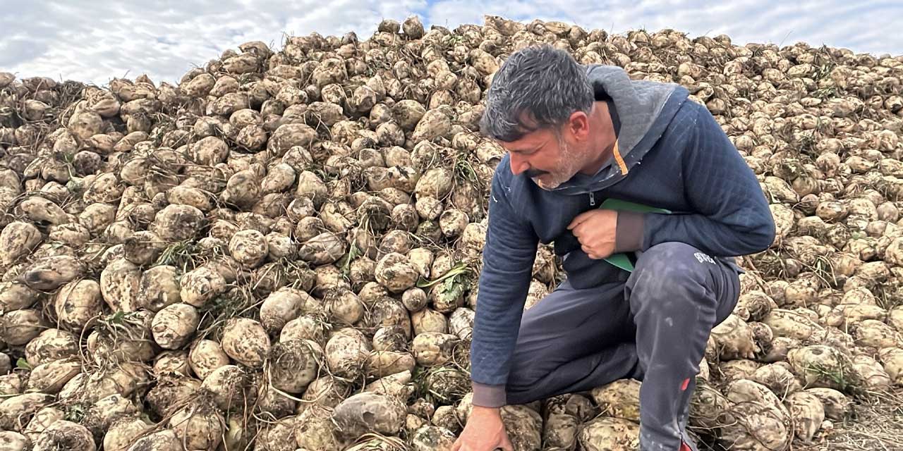 Yozgatlı pancar üreticileri randevu sisteminden şikayetçi: "Mağduriyetimiz artıyor"