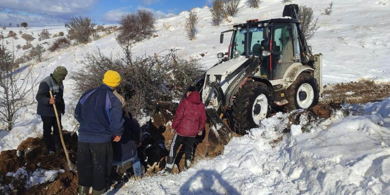 Akyurt’ta mahsur kalan büyükbaş hayvanlar kurtarıldı