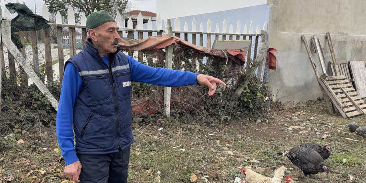 Yılbaşı öncesi hırsızlar kümeste, hindiler hedefte!