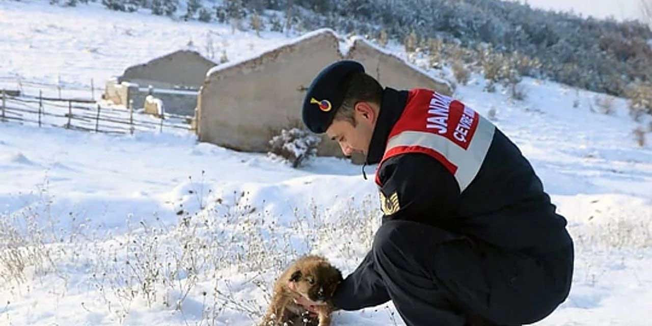 Yozgat'ta jandarmadan hayat kurtaran kahramanlık: "Nefes"in hikayesi