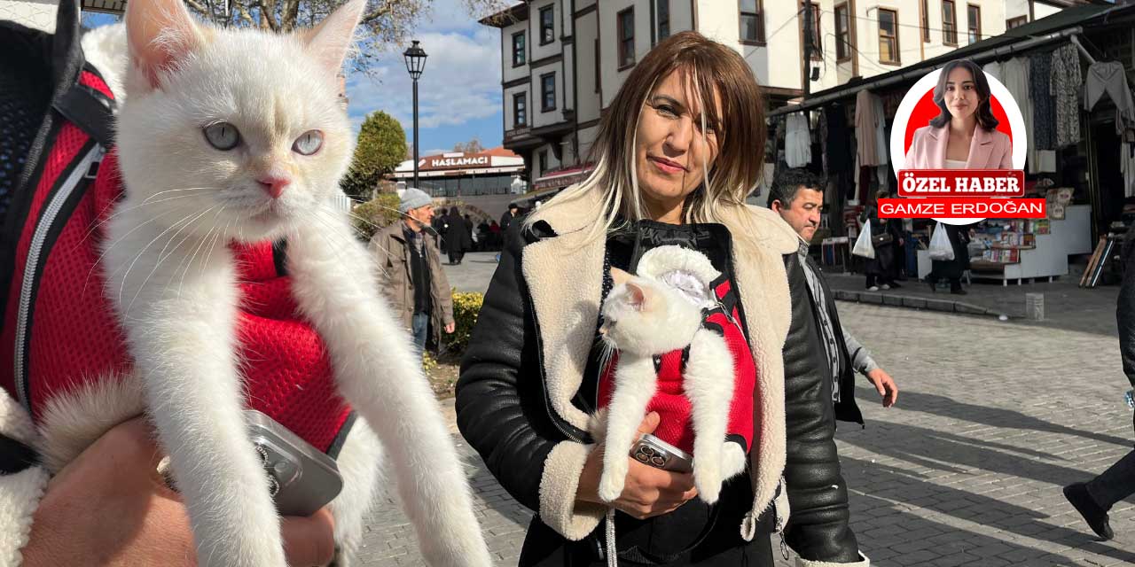 Ankara'da üç ay önce sahiplendiği kedisi en yakın arkadaşı oldu