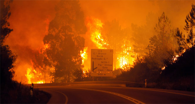 Portekiz’de orman yangını: 39 ölü