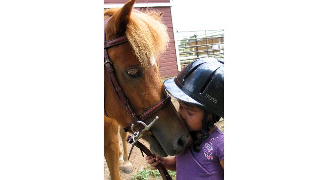 Çankaya Belediyesi'nden 'pony Park'