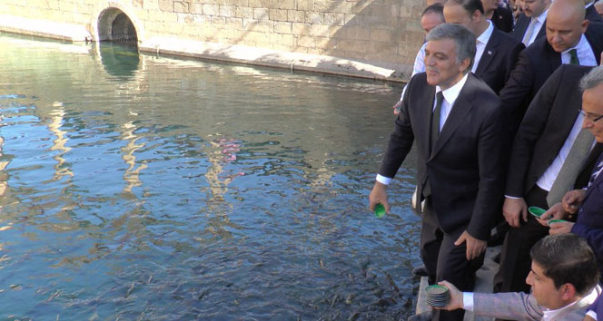 Abdullah Gül Balıklıgöl'de balıklara yem attı