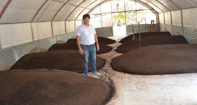 Kurduğu tesiste ayda 2 ton solucan gübresi üretiyor