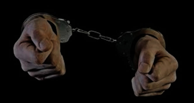 Tokat'ta hayvan hırsızlığından 5 kişi tutuklandı