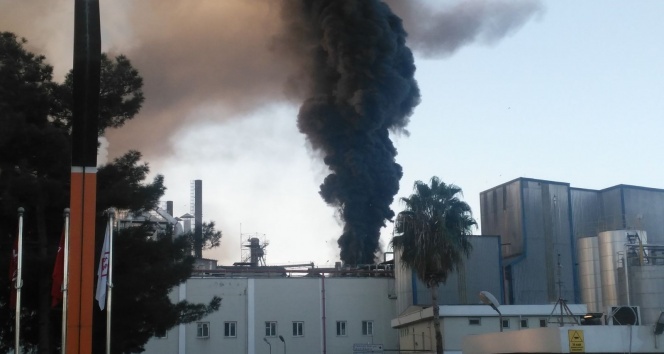 Adana'da yağ fabrikasında yangın