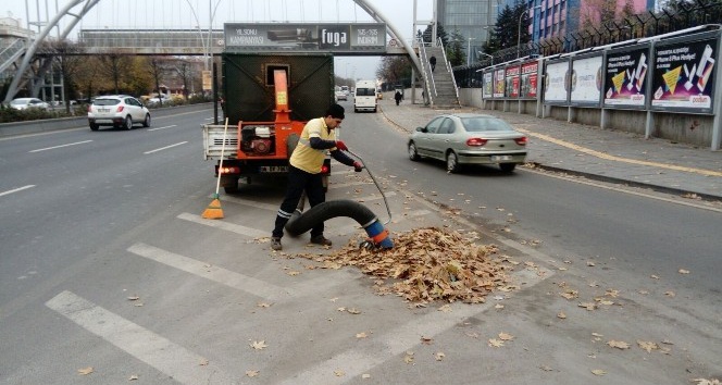 Büyükşehir ekiplerinin yaprak temizliği