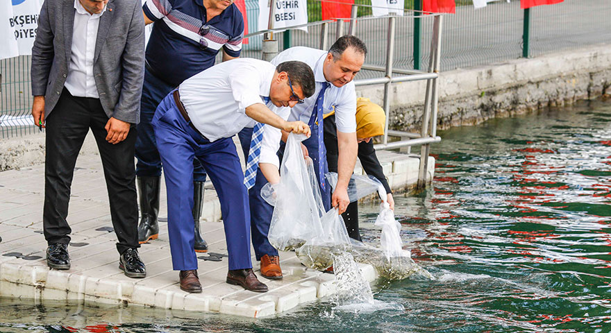 Başkent gölleri balık üretecek