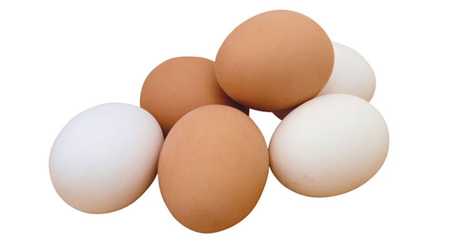 Tavuk yumurtası üretimi yüzde 5,5 azaldı