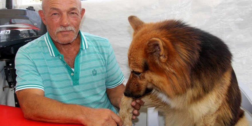 Bu köpek maharetleri ile herkesi şaşırtıyor!