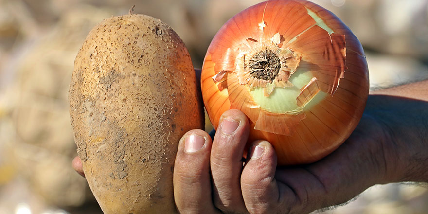 Soğan ve patates cep yakacak!