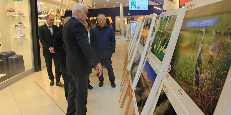 Nallıhan Kuş Cenneti fotoğrafları sergileniyor