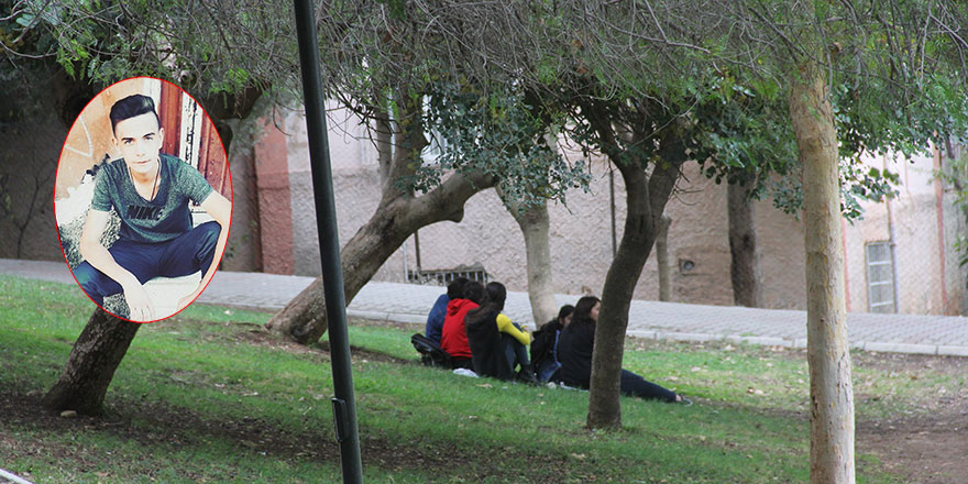 Parkta fotoğraf çektirdi canından oldu