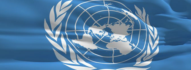 BM'den 'Türkiye' açıklaması