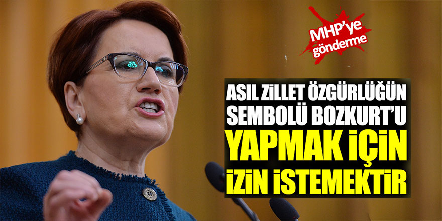 Meral Akşener'den MHP'ye Bozkurt göndermesi!