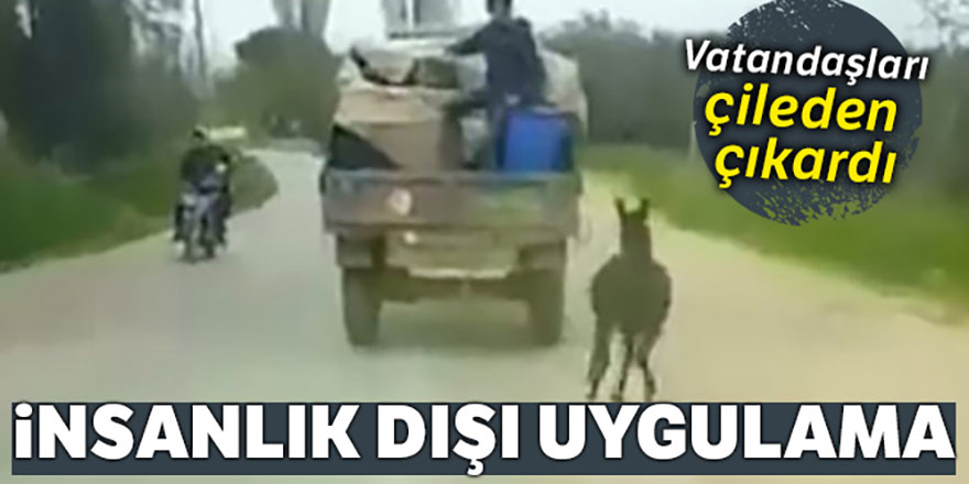 Eşeğe insanlık dışı uygulama !