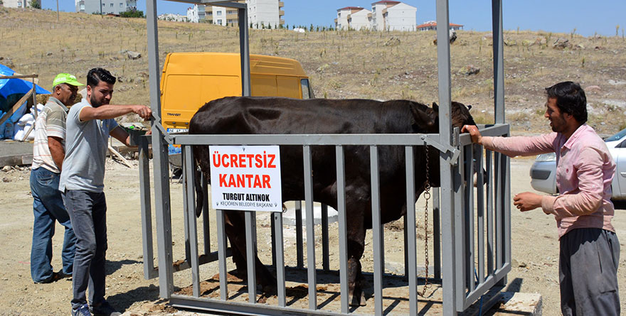 Türkiye'nin en nitelikli kurban satış alanı Keçiören'de