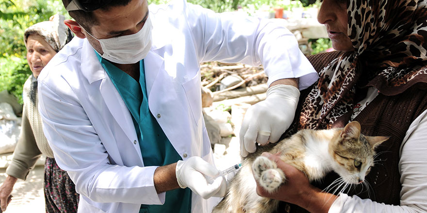 Mamak Belediyesi’nden ücretsiz kuduz aşısı