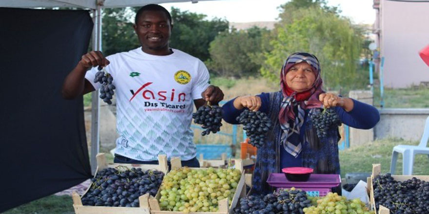 Beş yıl sonra "Kalecik Karası Üzüm Festivali" yapıldı