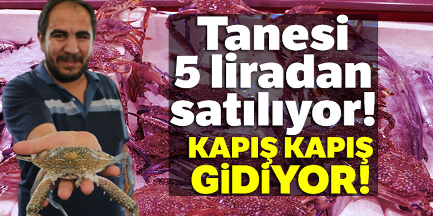 Tanesi 5 lira: Kapış kapış gidiyor