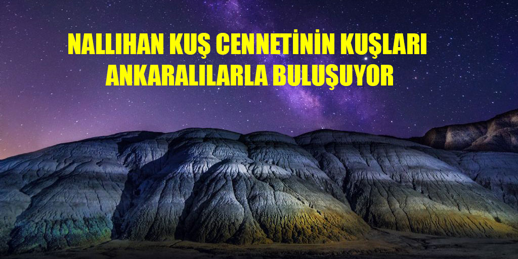 Nallıhan Kuş Cennetinin kuşları Ankaralılarla buluşuyor